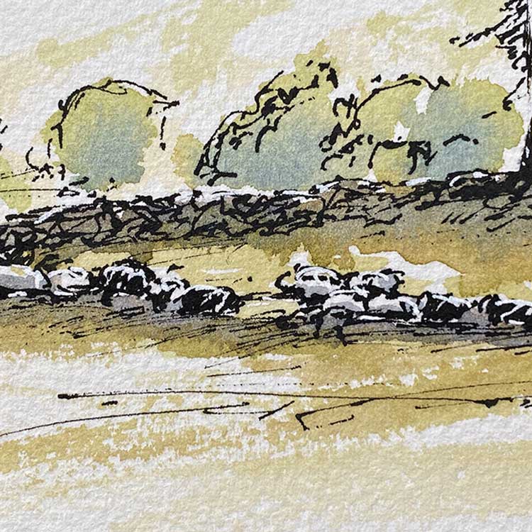 Cumbrian walls mini sketch