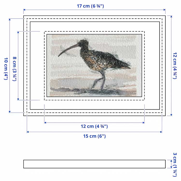 Curlew mini sketch