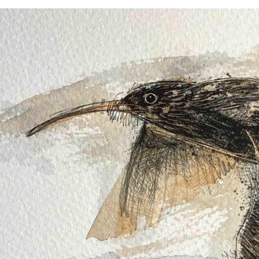 Curlew flight original sketch