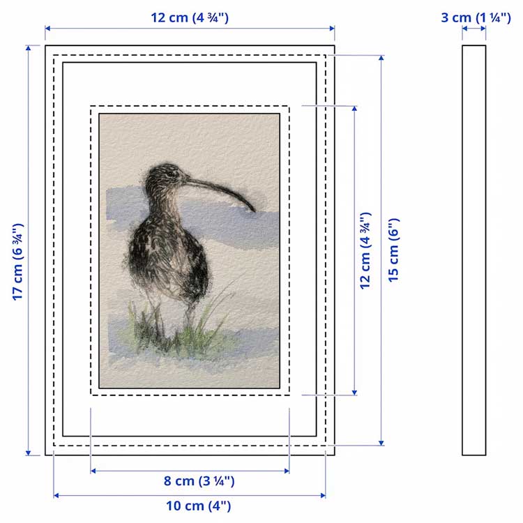 Curlew mini sketch
