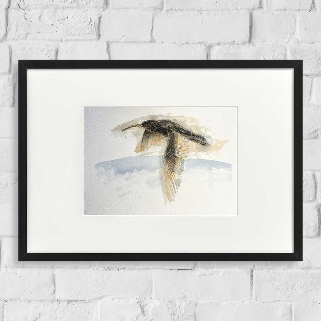 Curlew flight original sketch