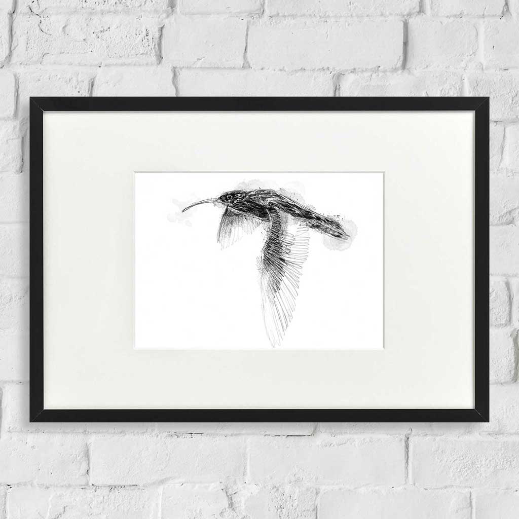 Curlew flight