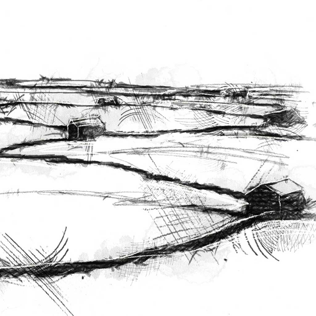 Yorkshire dales barns