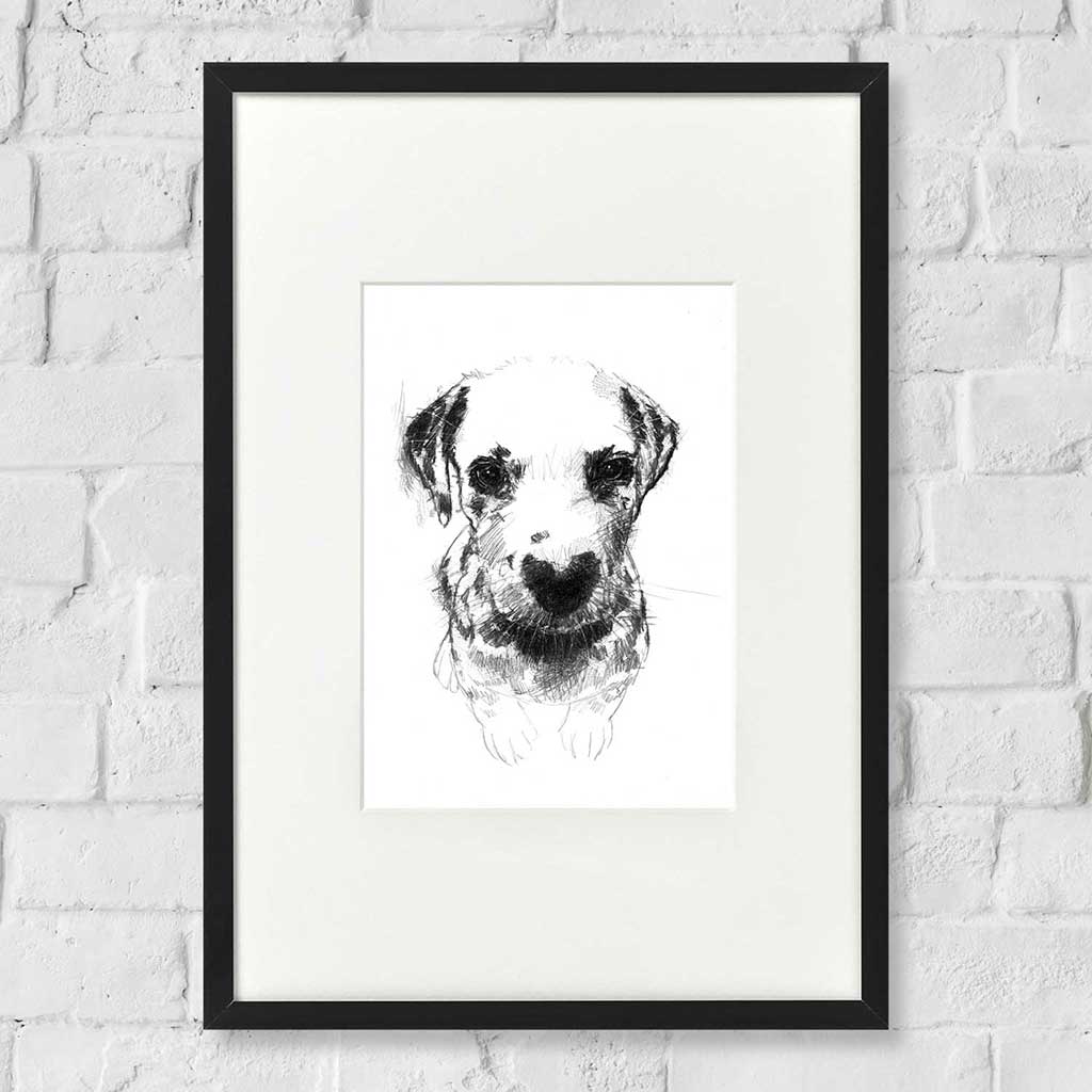 Dalmatian puppy dog