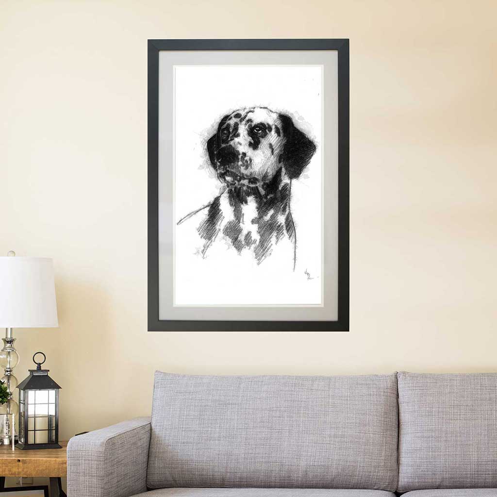 Dalmation