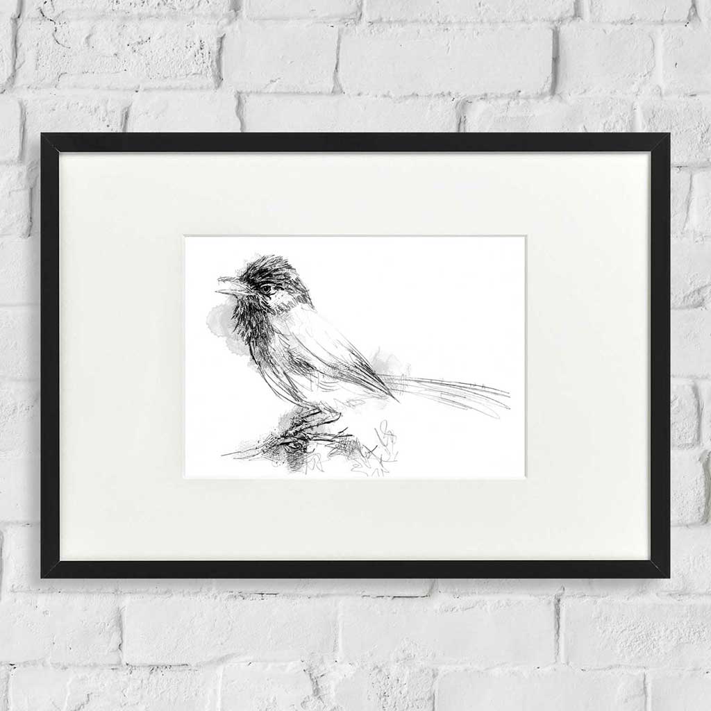 Dartford warbler