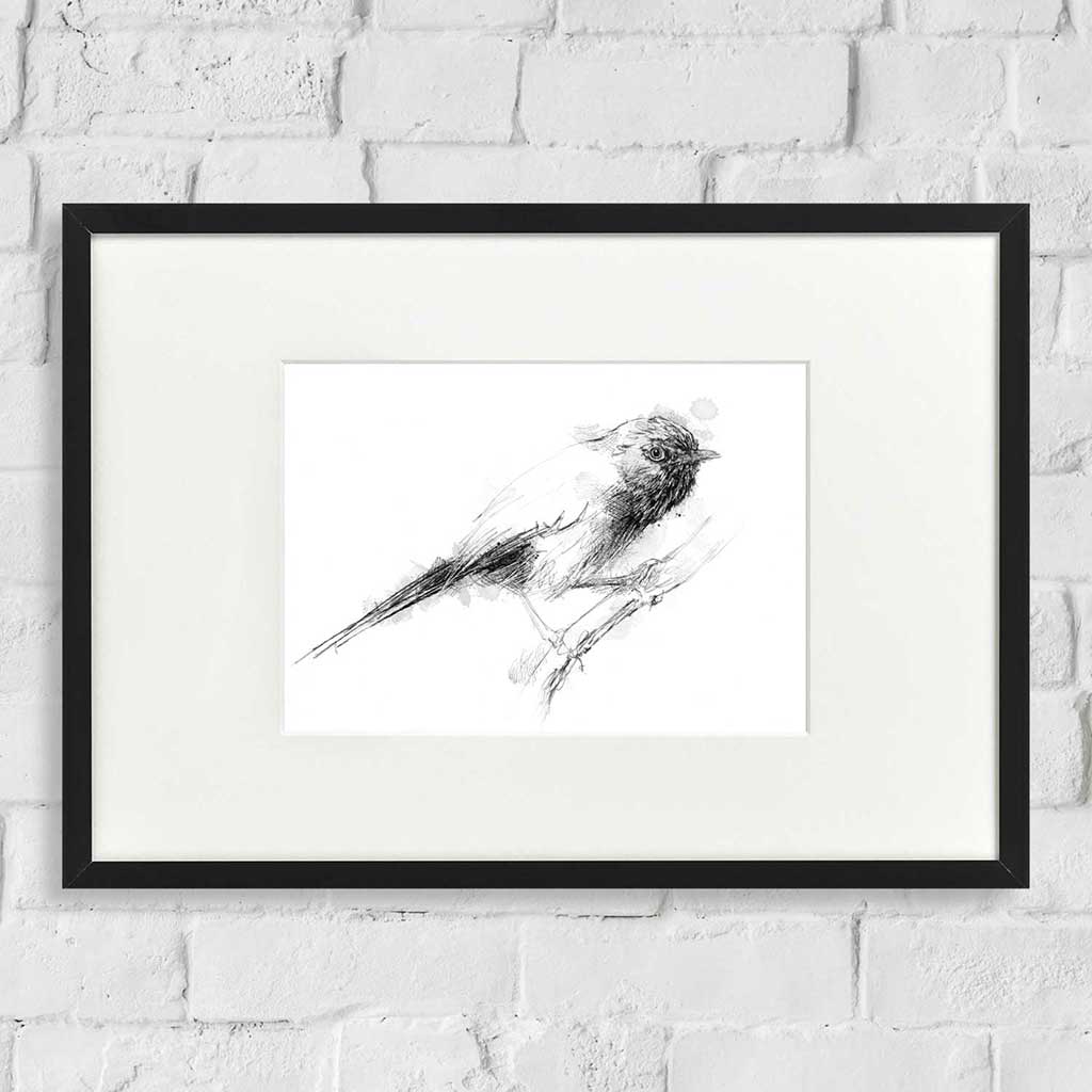 Dartford warbler