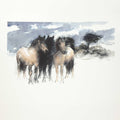 Dartmoor ponies - Colour Sketch