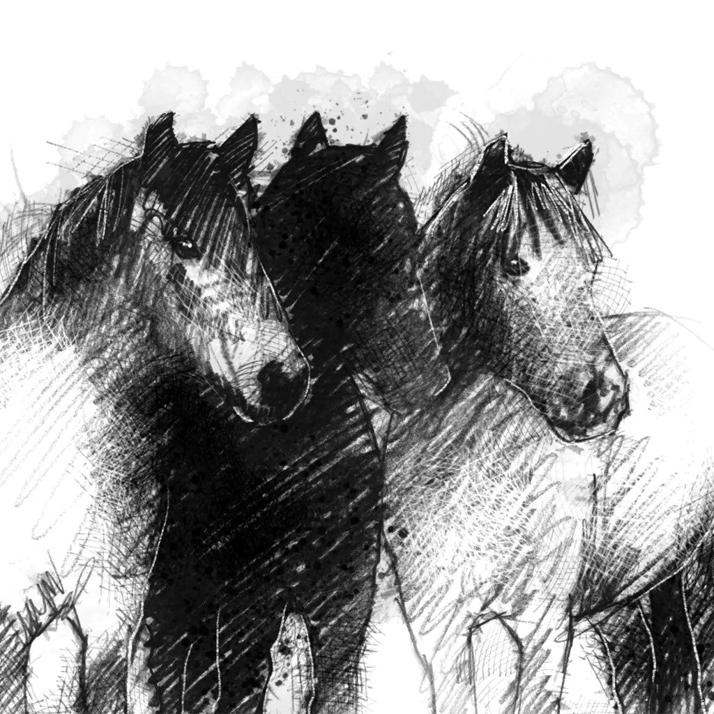 Dartmoor ponies - BW Sketch