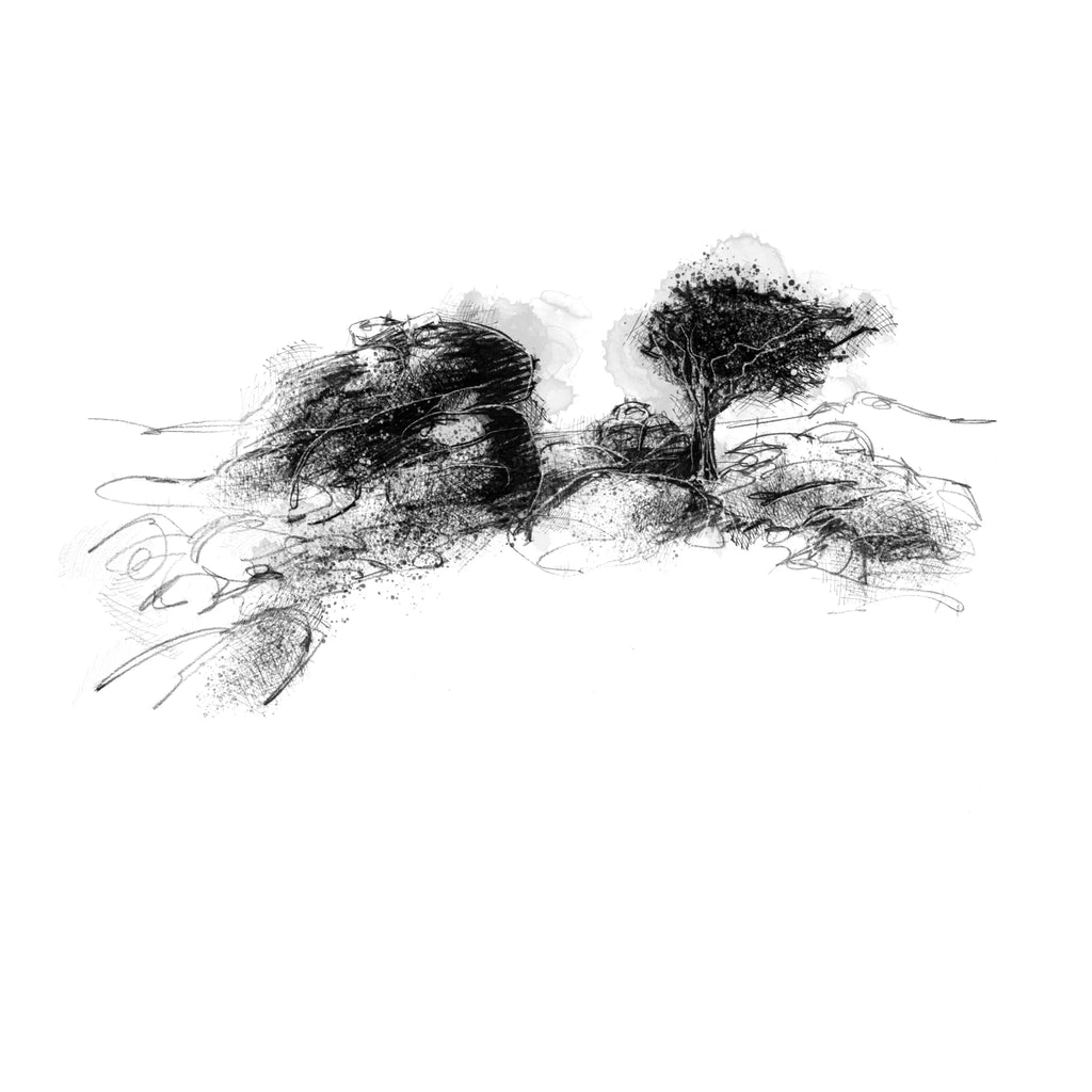 Dartmoor Tor and Lone Tree - BW Sketch