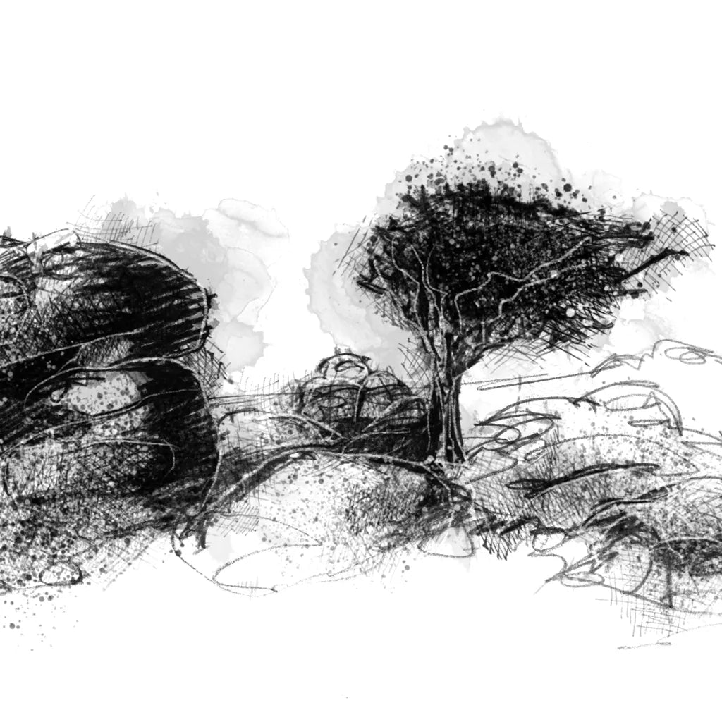 Dartmoor Tor and Lone Tree - BW Sketch