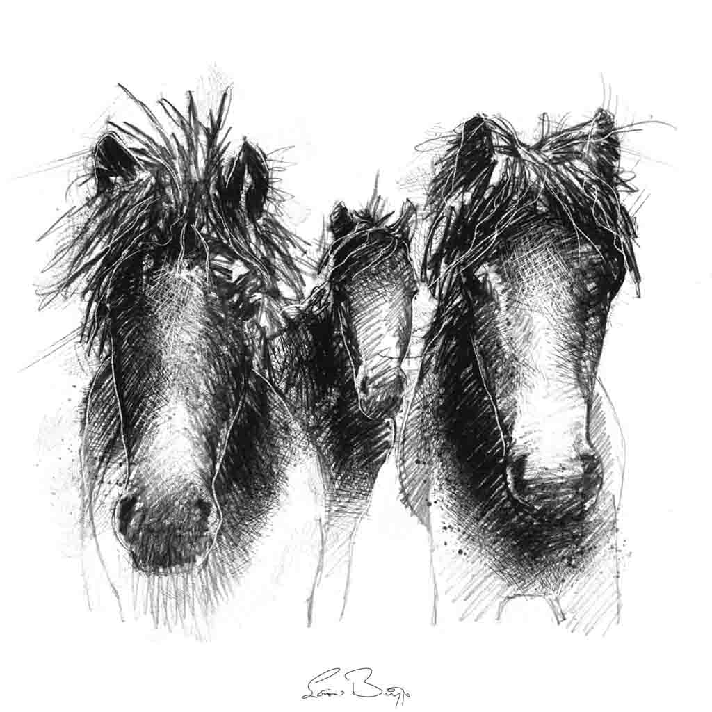 Dartmoor ponies