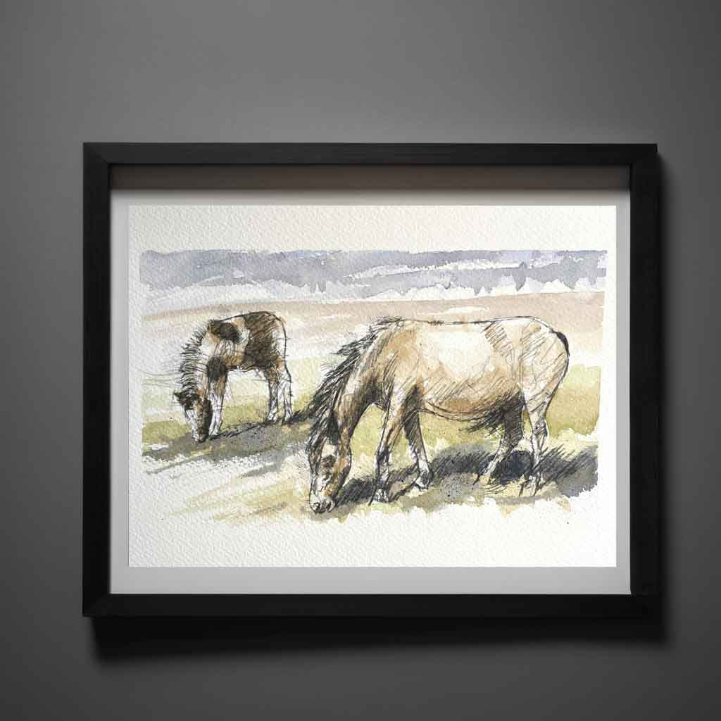 Dartmoor ponies