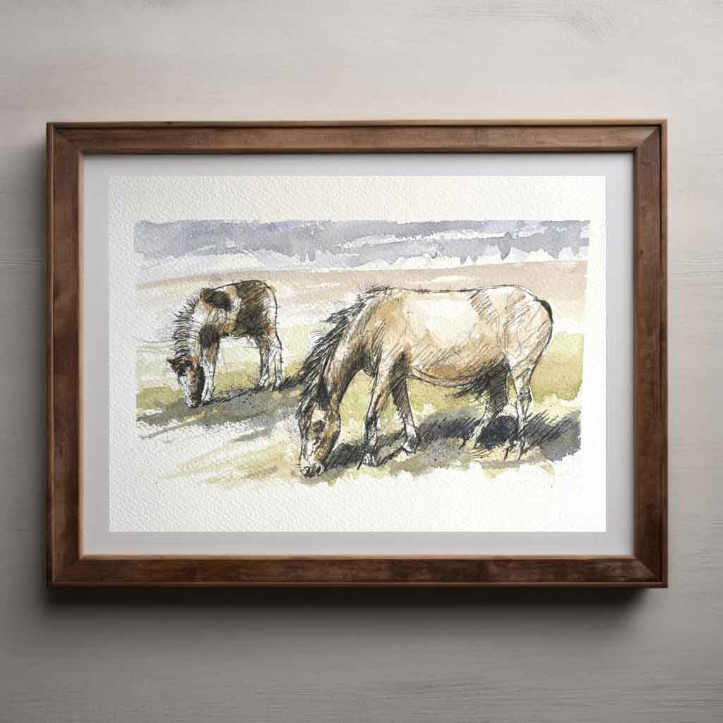 Dartmoor ponies
