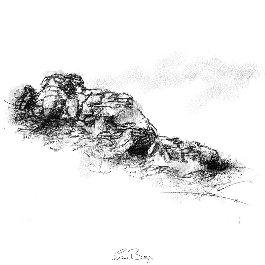 Dartmoor rocks