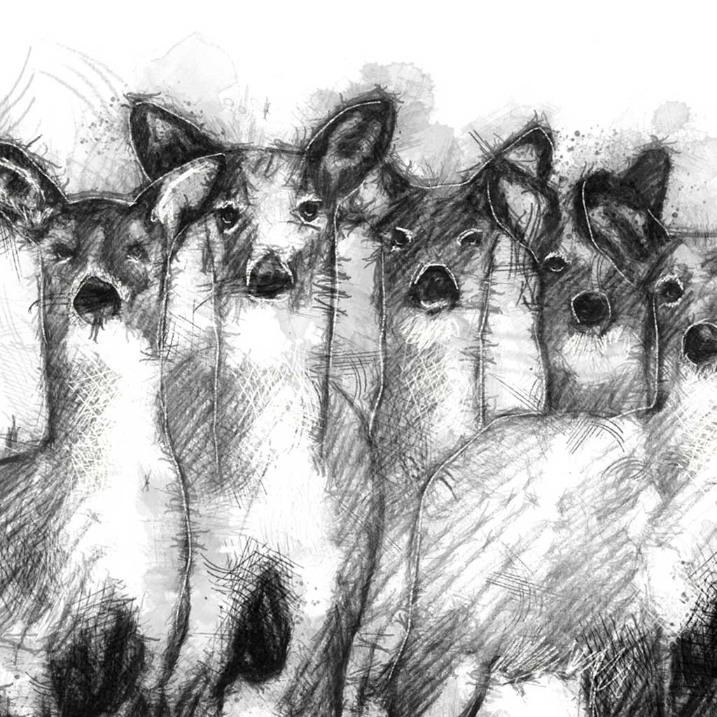 Deer herd