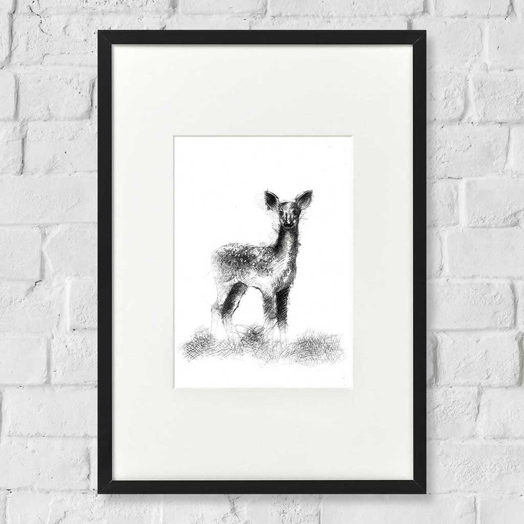 Fallow deer