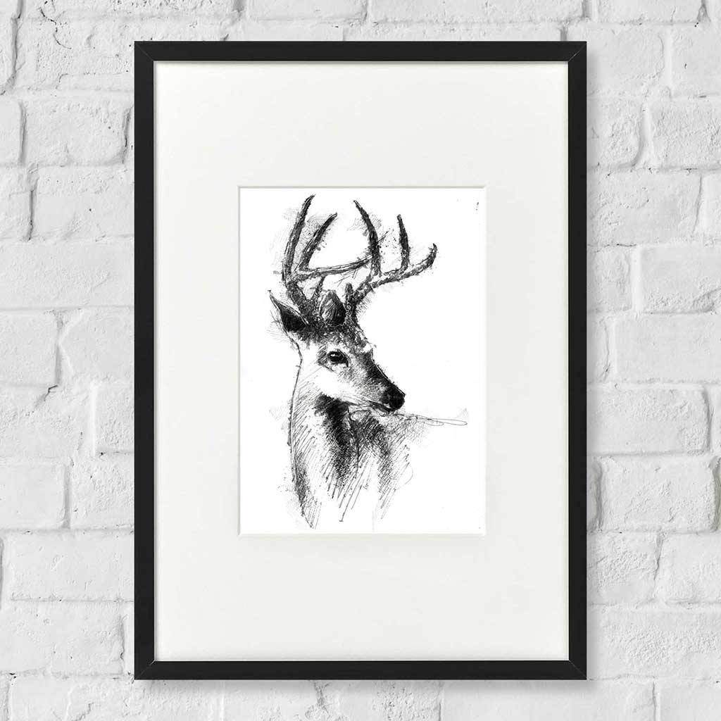 White tailed deer