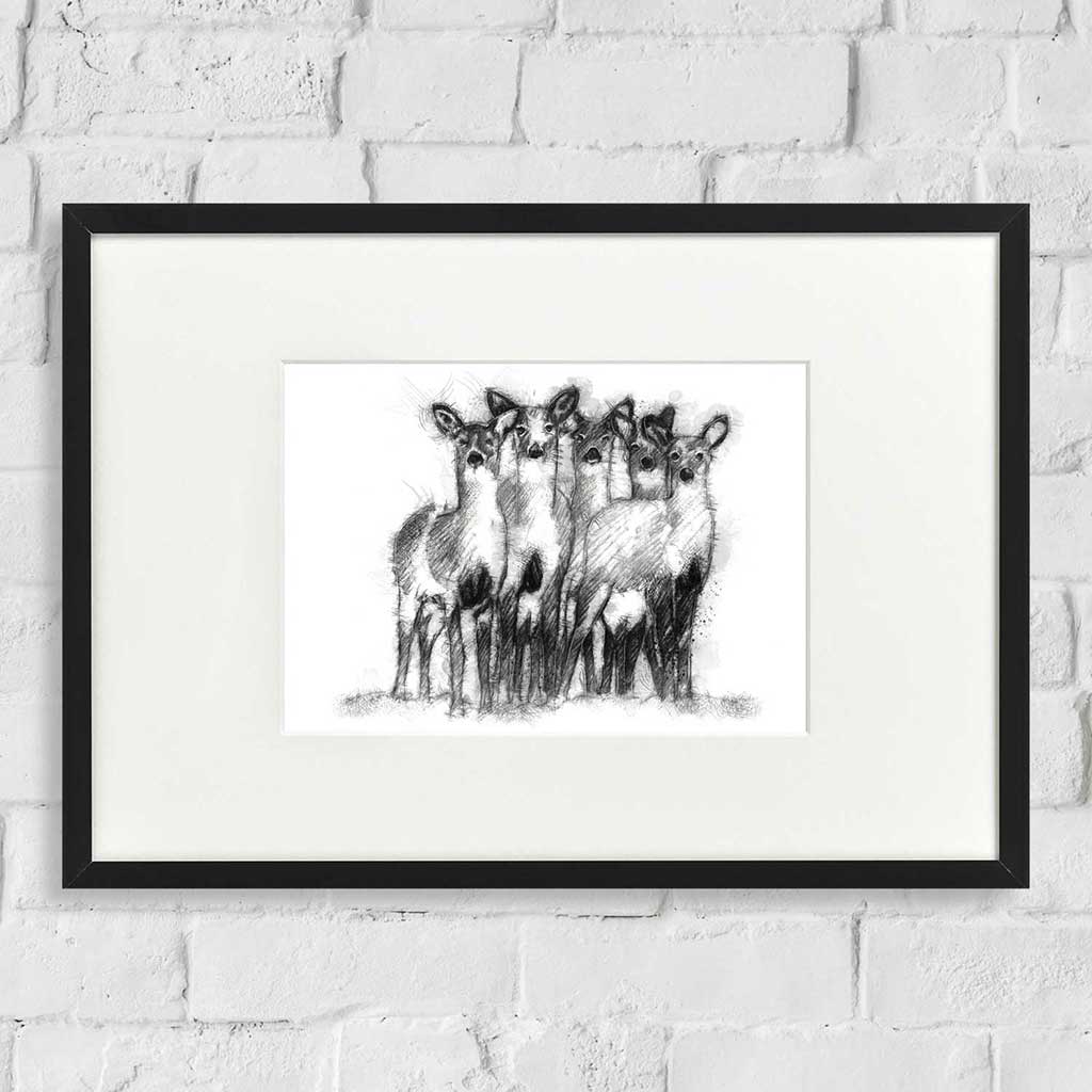Deer herd
