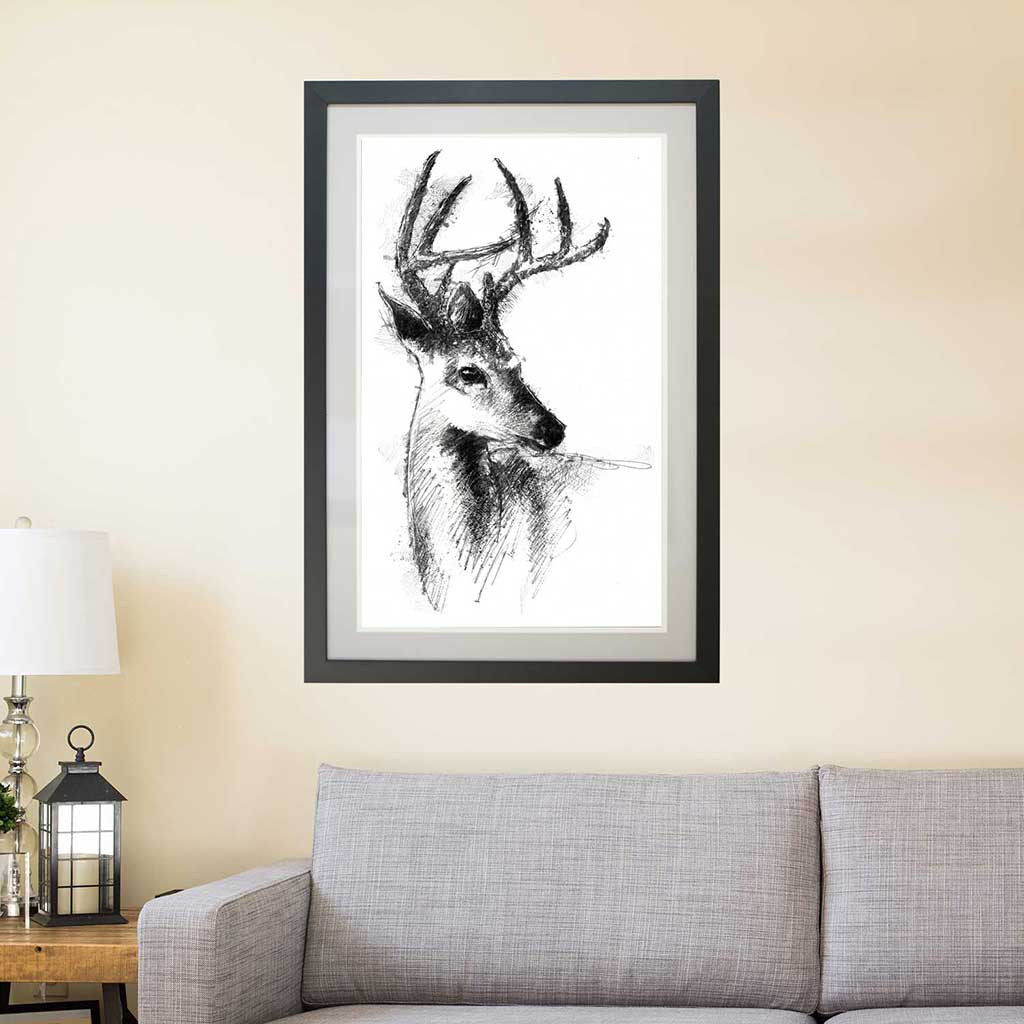 White tailed deer