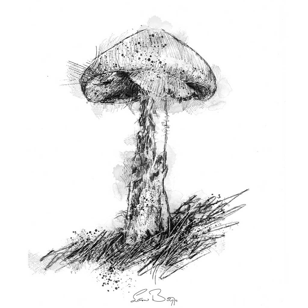 Destroying angel