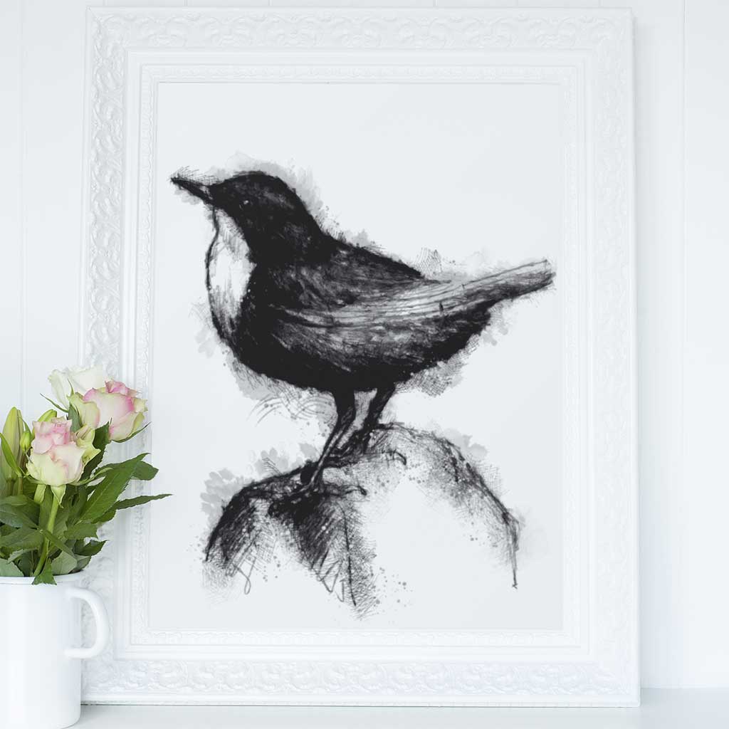 Dipper bird