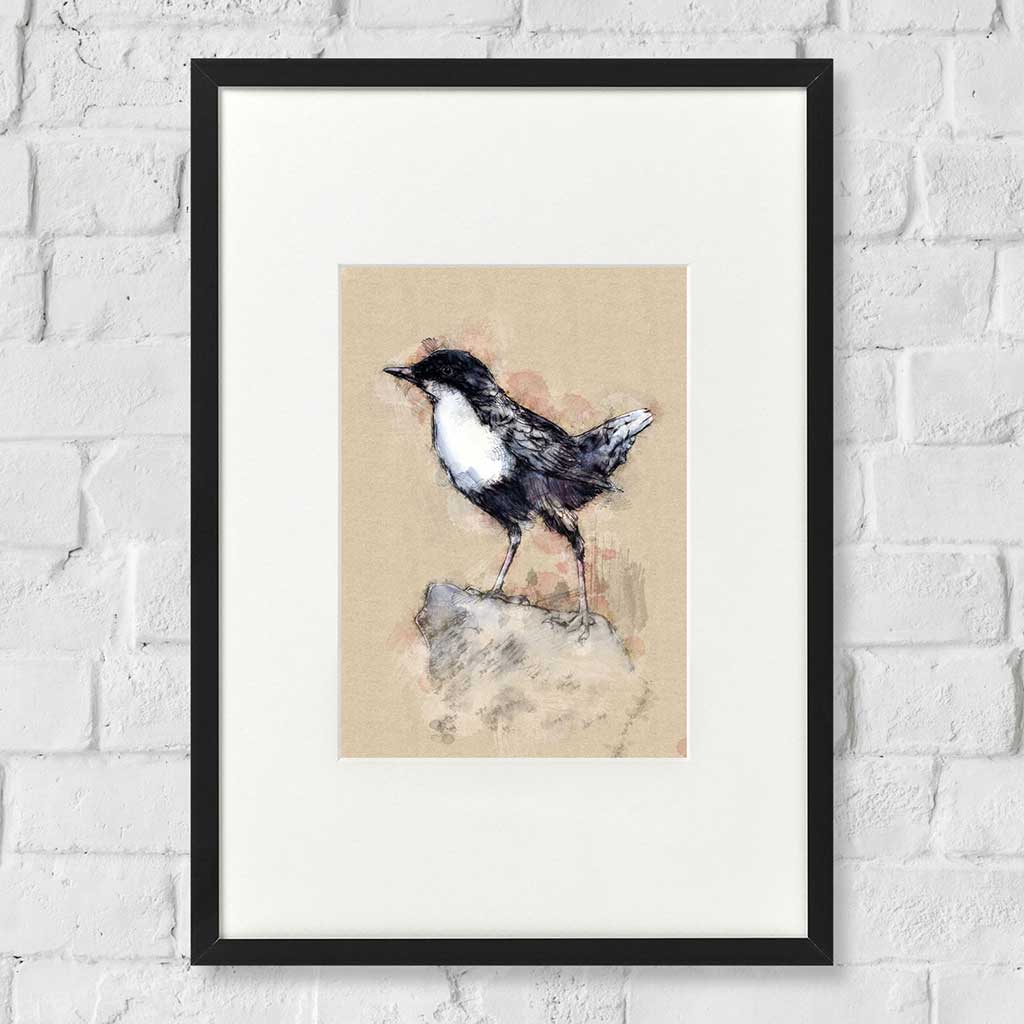Dipper bird
