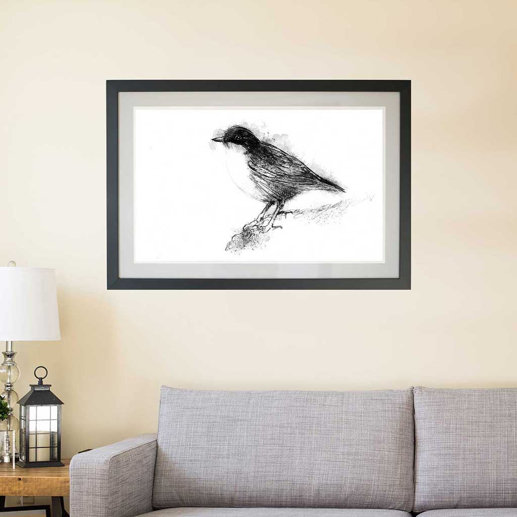 Dipper bird