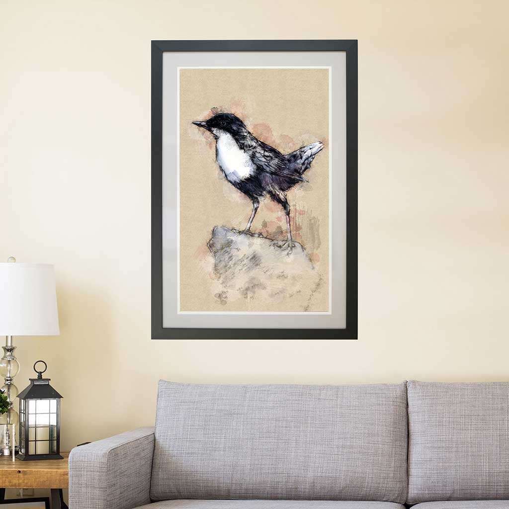 Dipper bird