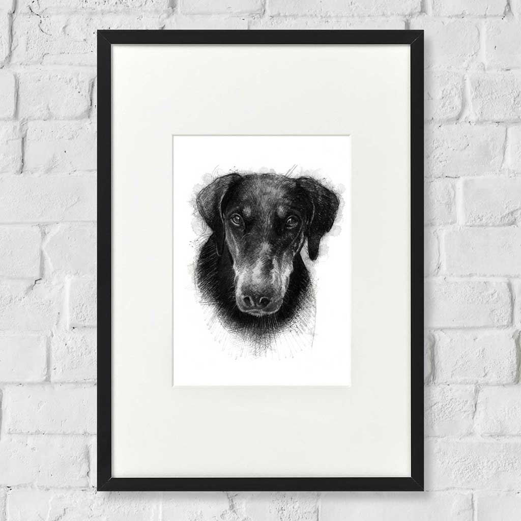 Doberman dog