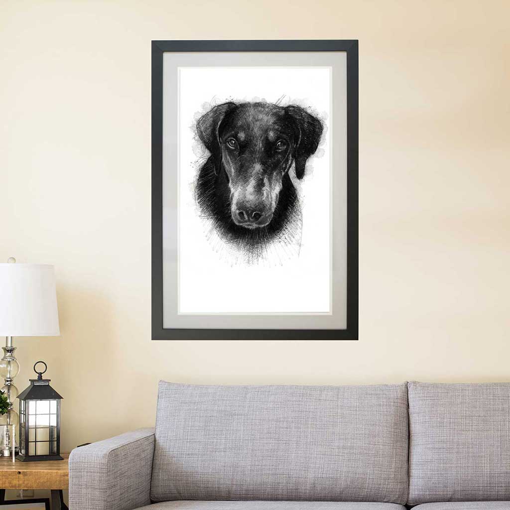 Doberman dog
