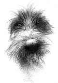 Shaggy dog