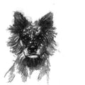 Speckled dog