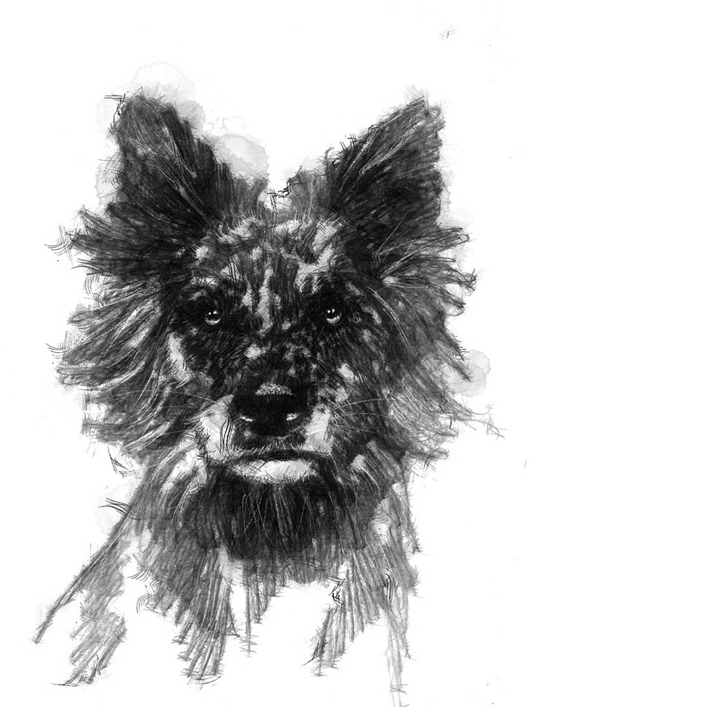 Speckled dog