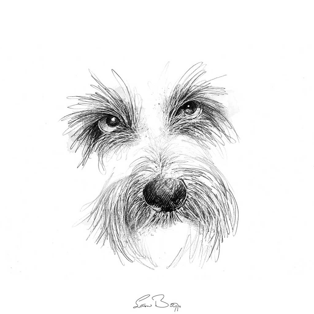 Scruffy dog