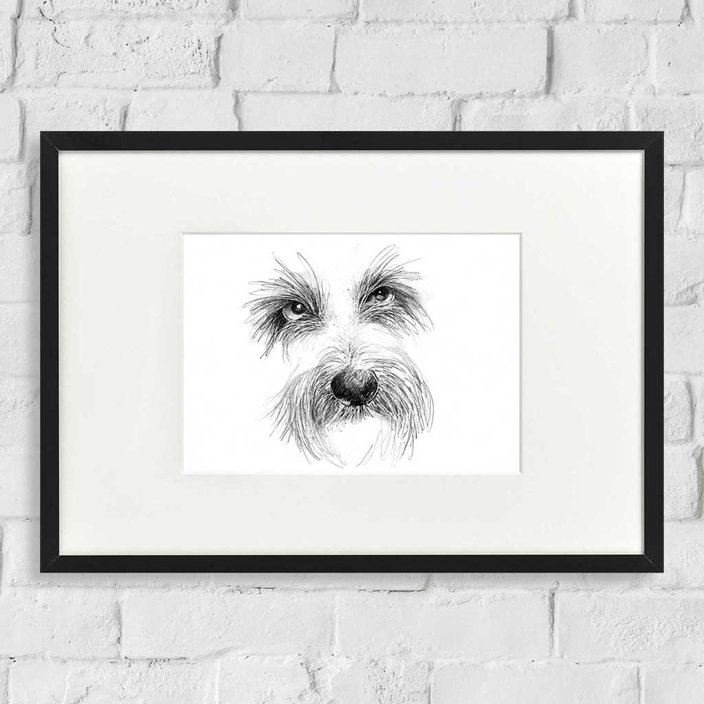 Scruffy dog