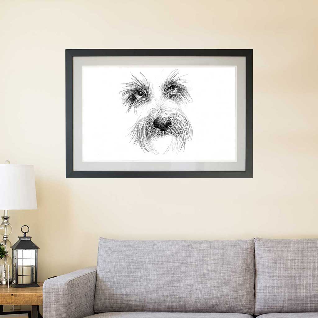 Scruffy dog