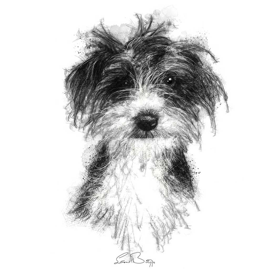Little scruff