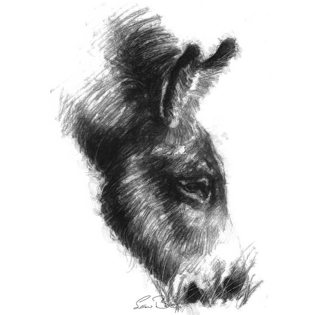 Donkey eating