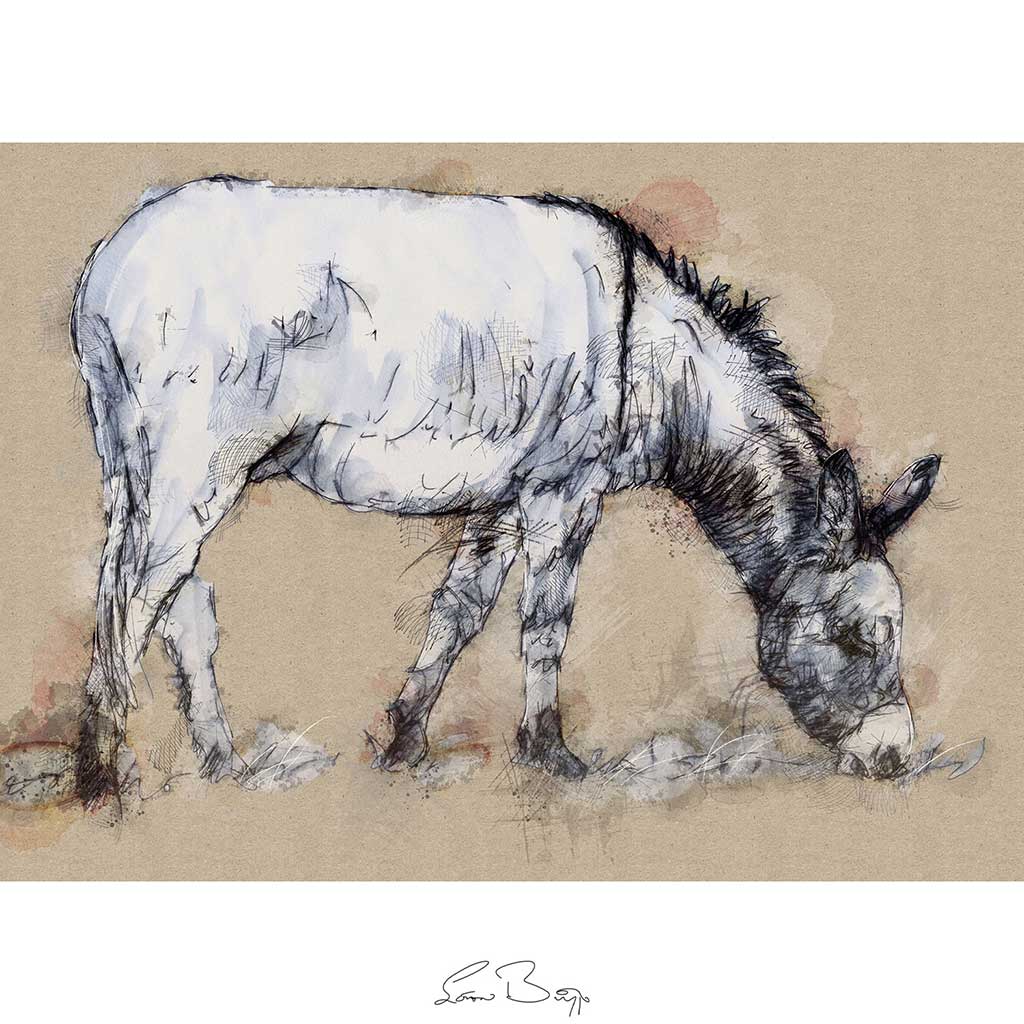 Donkey