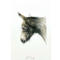 Donkey sketch