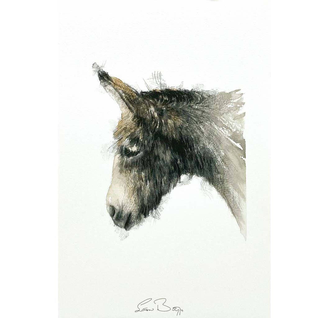 Donkey sketch