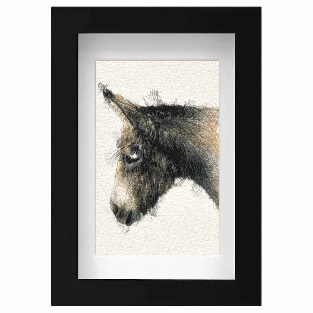 Donkey original mini sketch