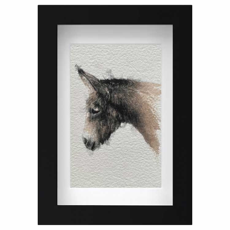Donkey mini sketch