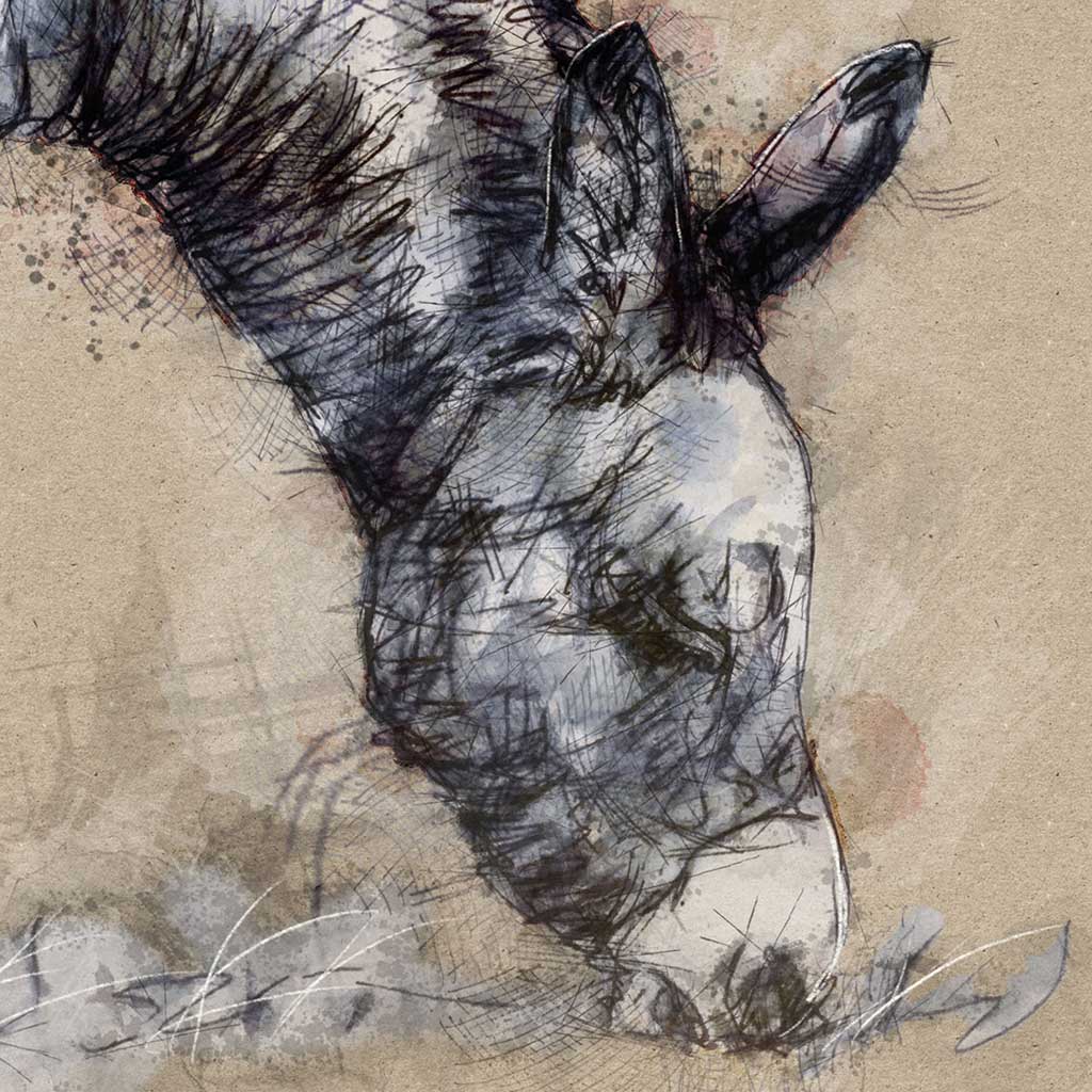Donkey
