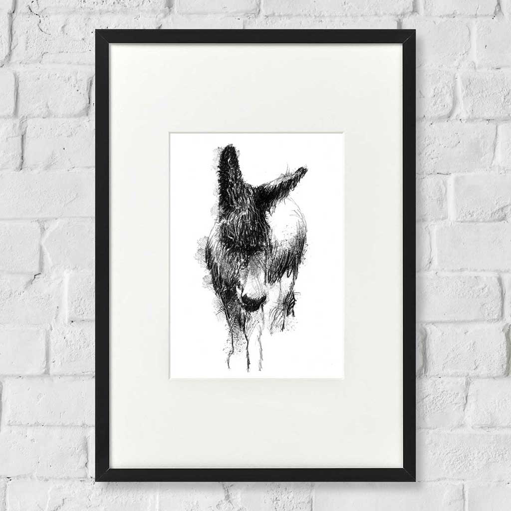 Rare donkey