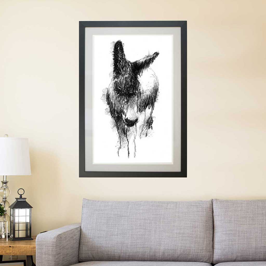 Rare donkey
