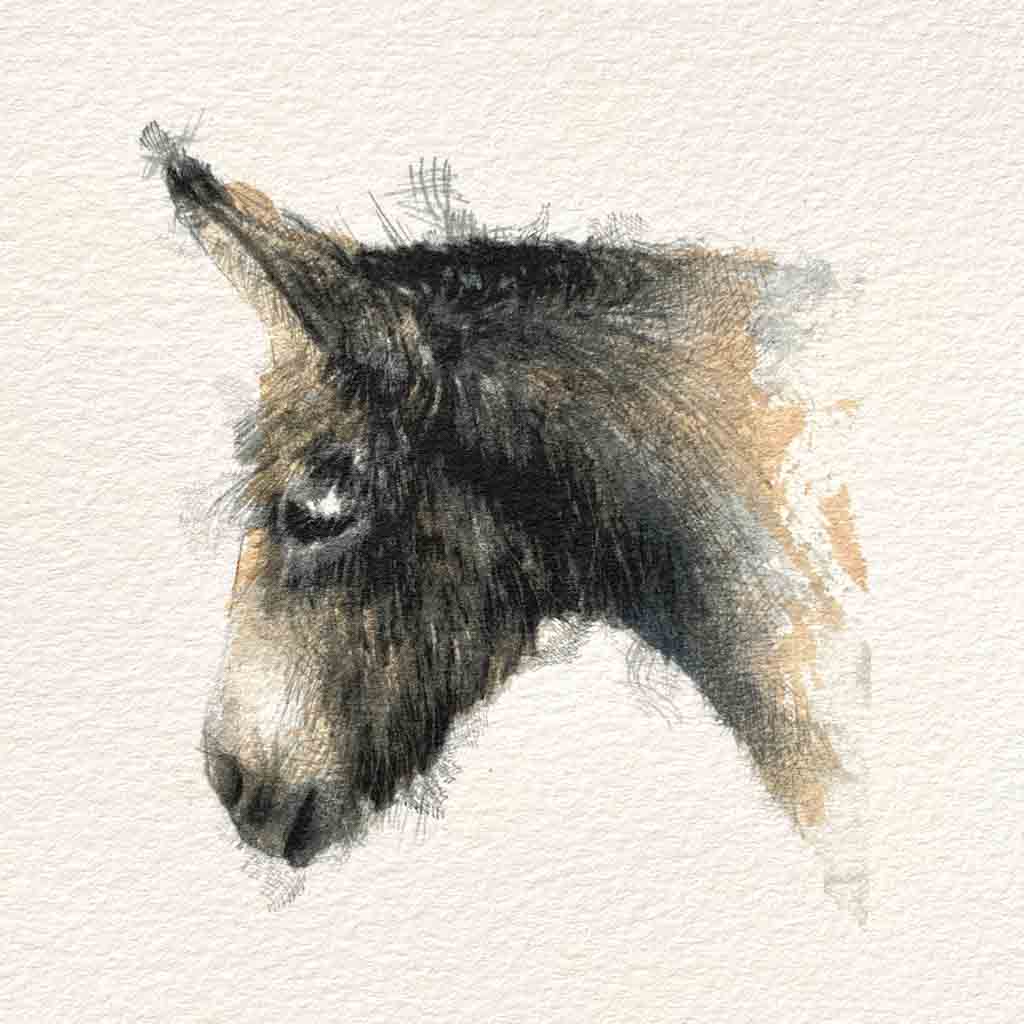 Donkey original mini sketch