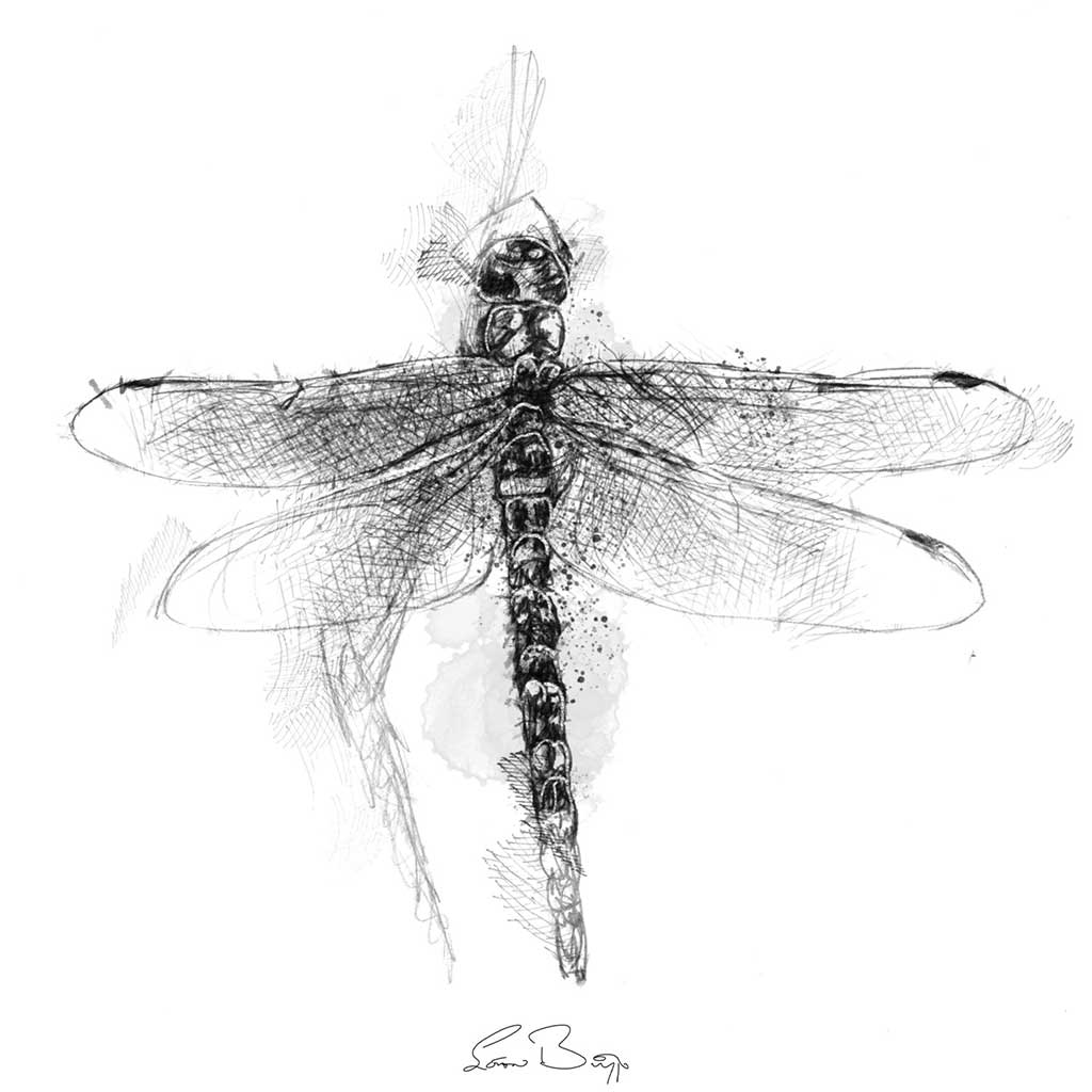 Dragonfly