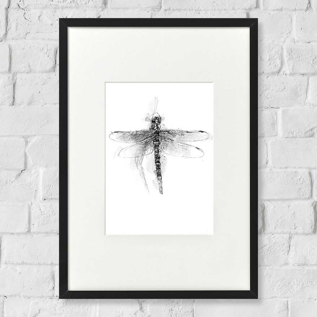 Dragonfly